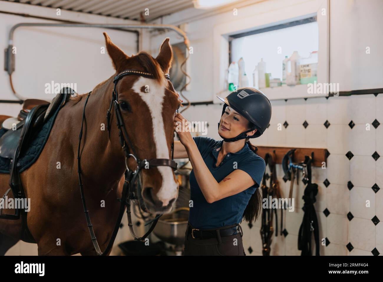 Femme dans l'écurie préparant le cheval pour l'équitation Banque D'Images