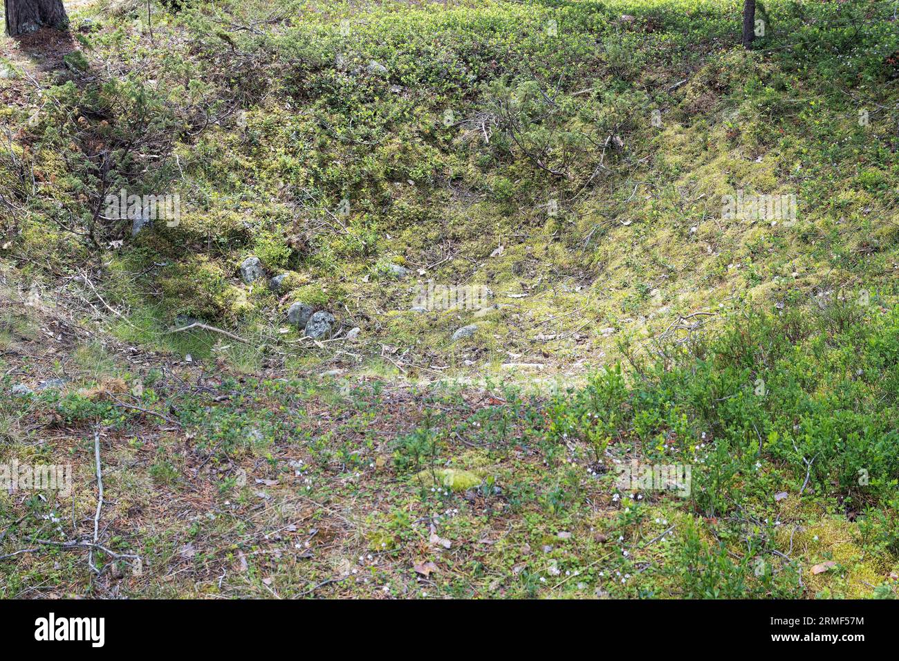 Cratère de bombe de la seconde Guerre mondiale à Lesjaverk sur le front principal dans le sud de la Norvège du 13 avril au 2 mai 1940. Forces norvégiennes/alliées s'opposant aux envahisseurs allemands Banque D'Images