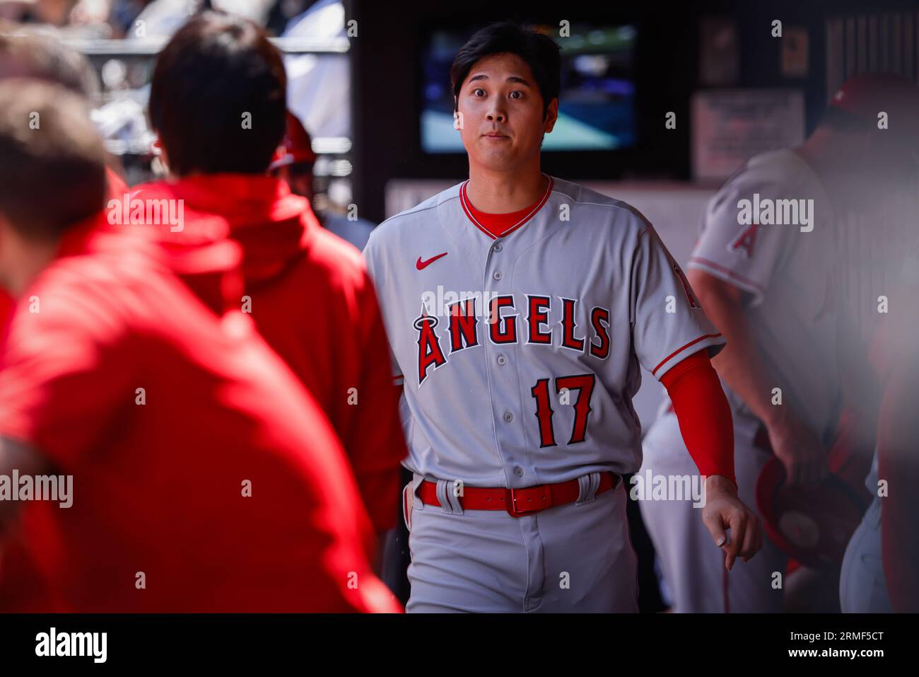 27 août 2023 ; New York City, New York ; Los Angeles Angels DH Shohei Ohtani (17) dans la dugout contre les mets de New York. Les mets ont vaincu les Anges 3-2. (Ariel Fox/image du sport) Banque D'Images