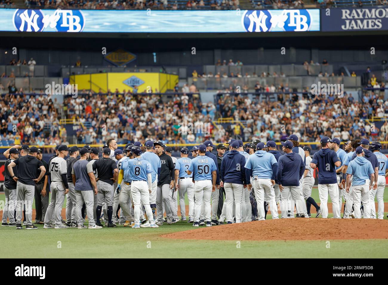 St. Petersburg, FL États-Unis ; les bancs des Tampa Bay Rays et des New York Yankees ont de nouveau couru sur le terrain après que les Tampa Bay Rays ont quitté Randy Arozarena Banque D'Images