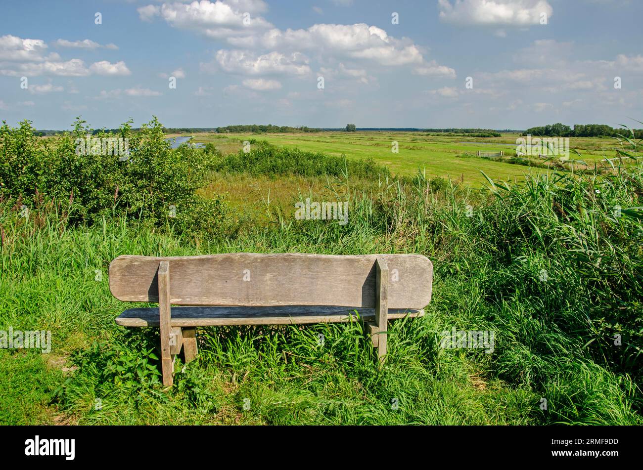 Tienhoven, pays-Bas, 23 août 2023 : Banc en bois sur une colline basse, surplombant un paysage verdoyant et humide dans la réserve naturelle de Tienhovense Plasse Banque D'Images