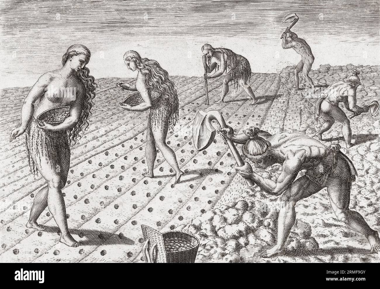 Les Amérindiens, hommes et femmes, cultivent le sol et plantent des graines. Après une œuvre de Theodor de Bry à la fin du 16e siècle. Banque D'Images Les Amérindiens, hommes et femmes, cultivent le sol et plantent des graines. Après une œuvre de Theodor de Bry à la fin du 16e siècle. Banque D'Images