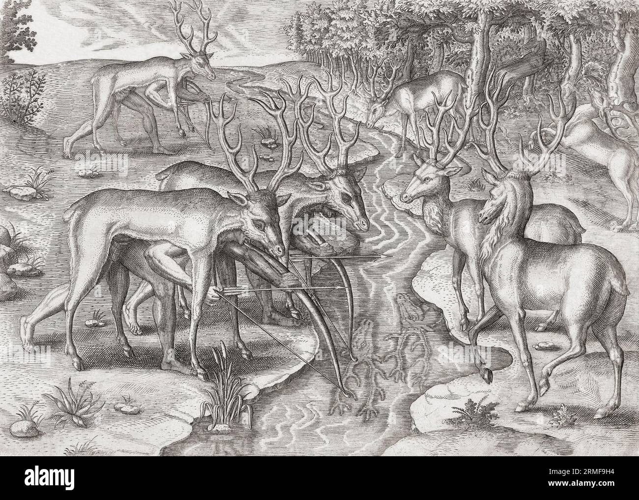 Les Amérindiens chassent le cerf. Les chasseurs indigènes sont dissimulés sous des peaux de cerfs qui leur permettent de se rapprocher de leurs proies. Après une œuvre de Theodor de Bry à la fin du 16e siècle. Banque D'Images