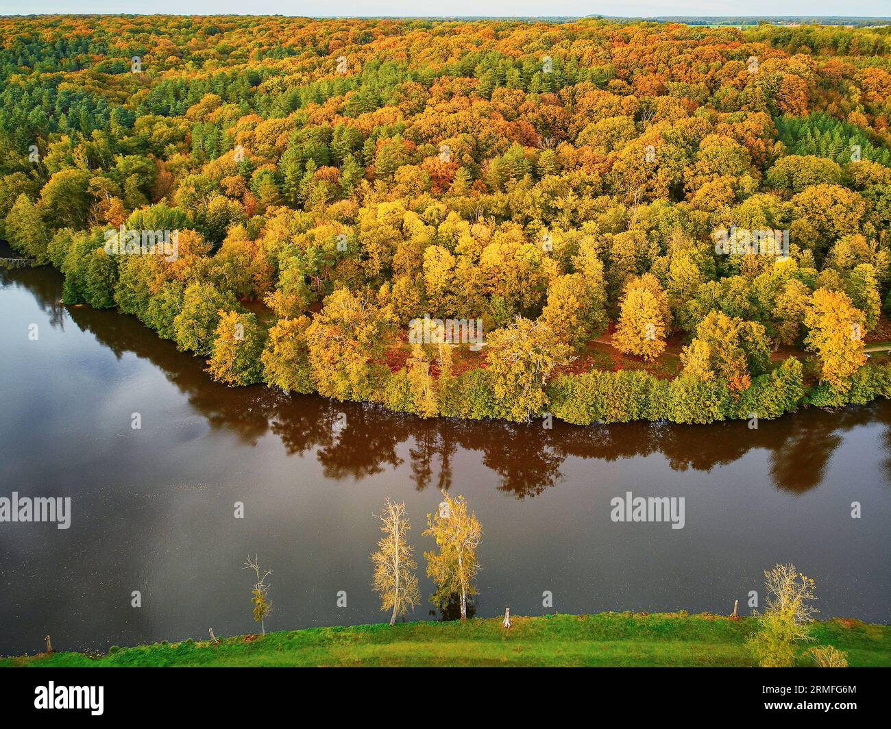 Vue aérienne panoramique de la forêt d'automne dans le nord de la France, Yvelines, France Banque D'Images