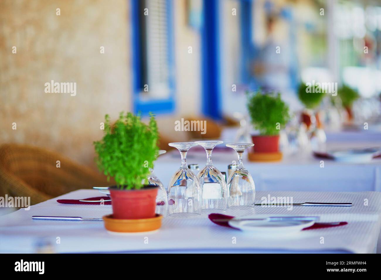 Verres à vin et plante verte sur la table du restaurant portugais en Algarve, Portugal Banque D'Images