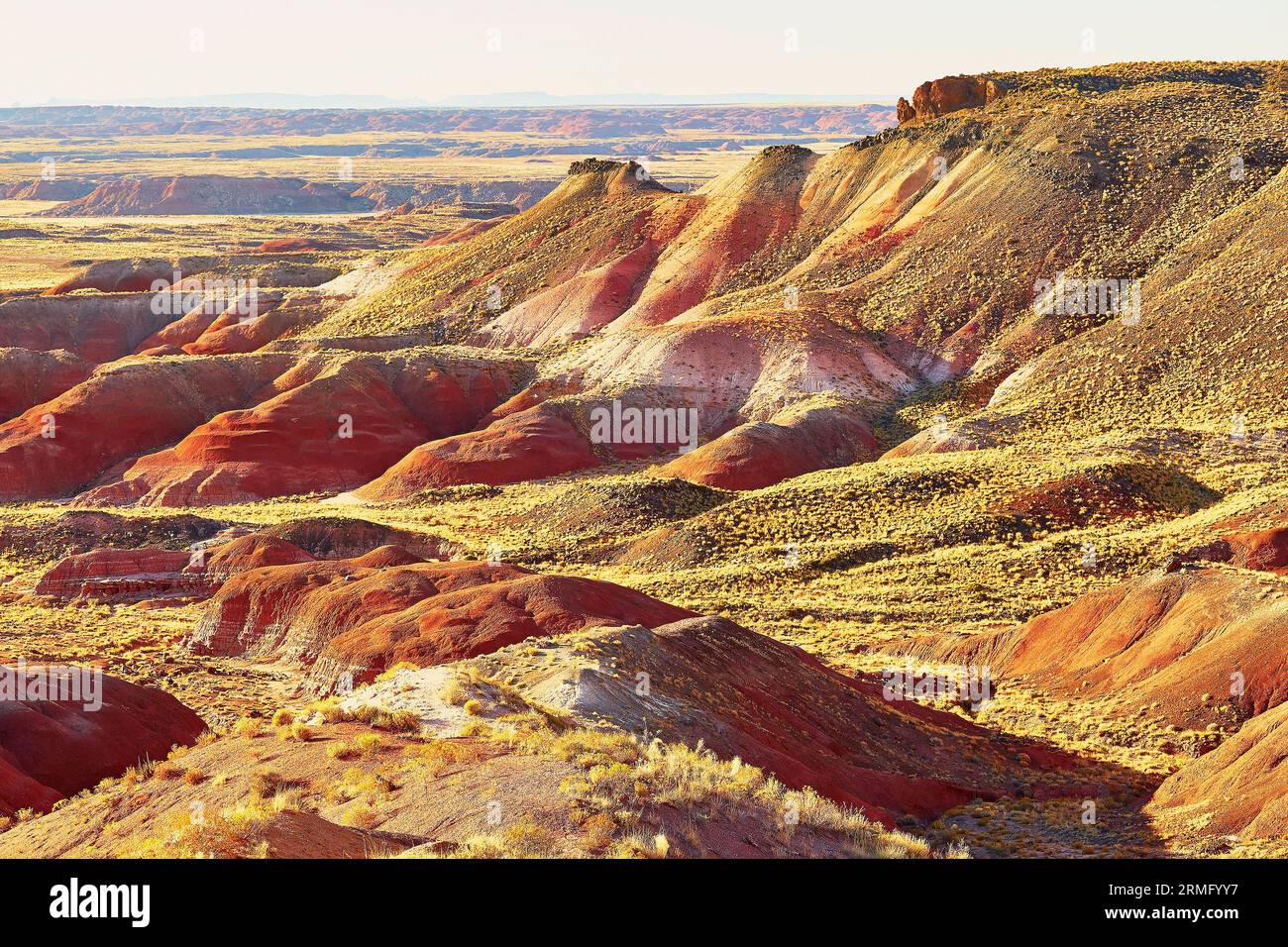 Vue panoramique d'un paysage dans le parc national Painted Desert en Arizona, États-Unis Banque D'Images