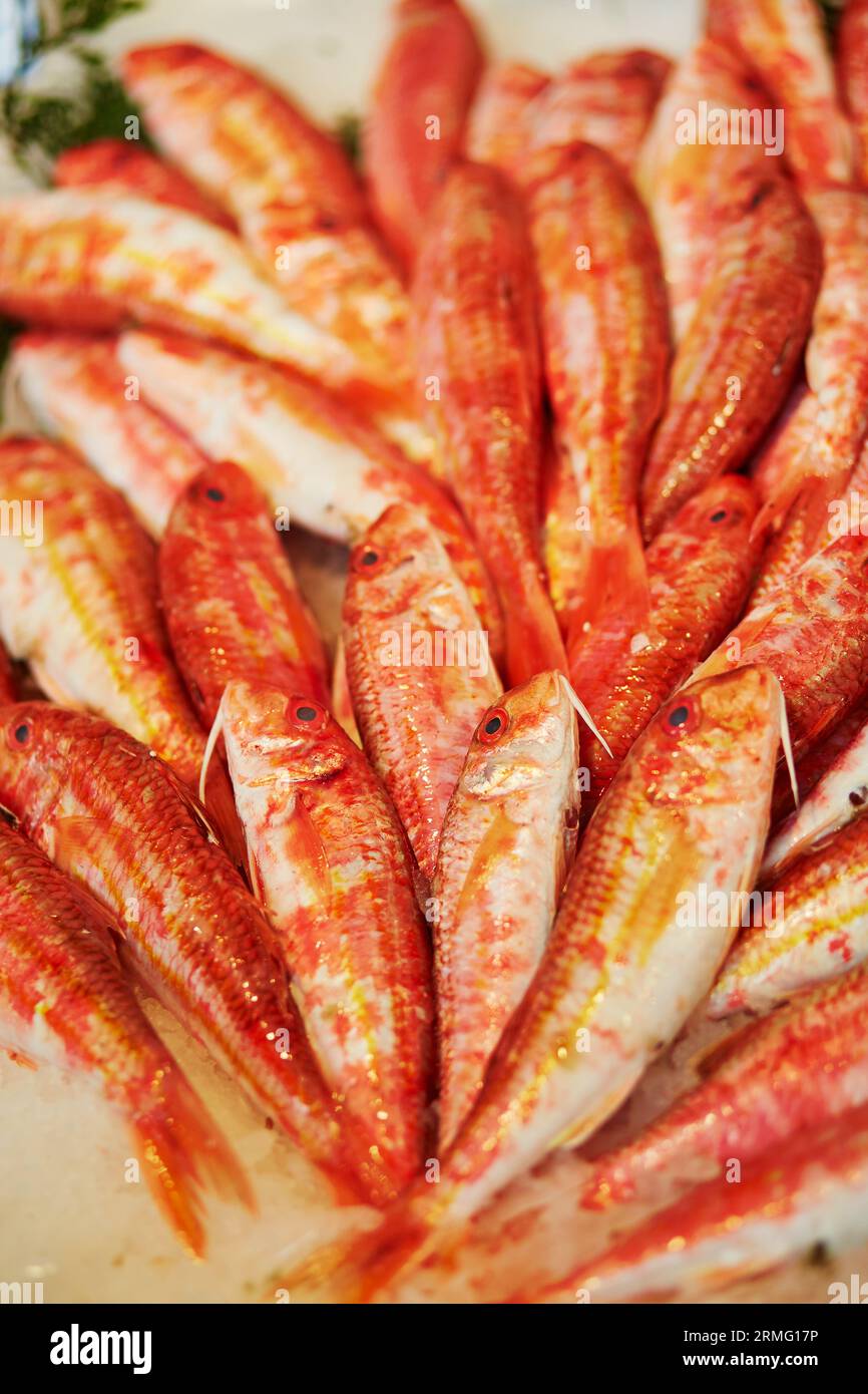 De nombreux surmullets sur le marché aux poissons à Paris, France Banque D'Images