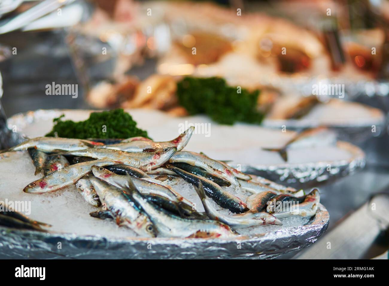Beaucoup d'anchois sur le marché aux poissons à Paris, France Banque D'Images