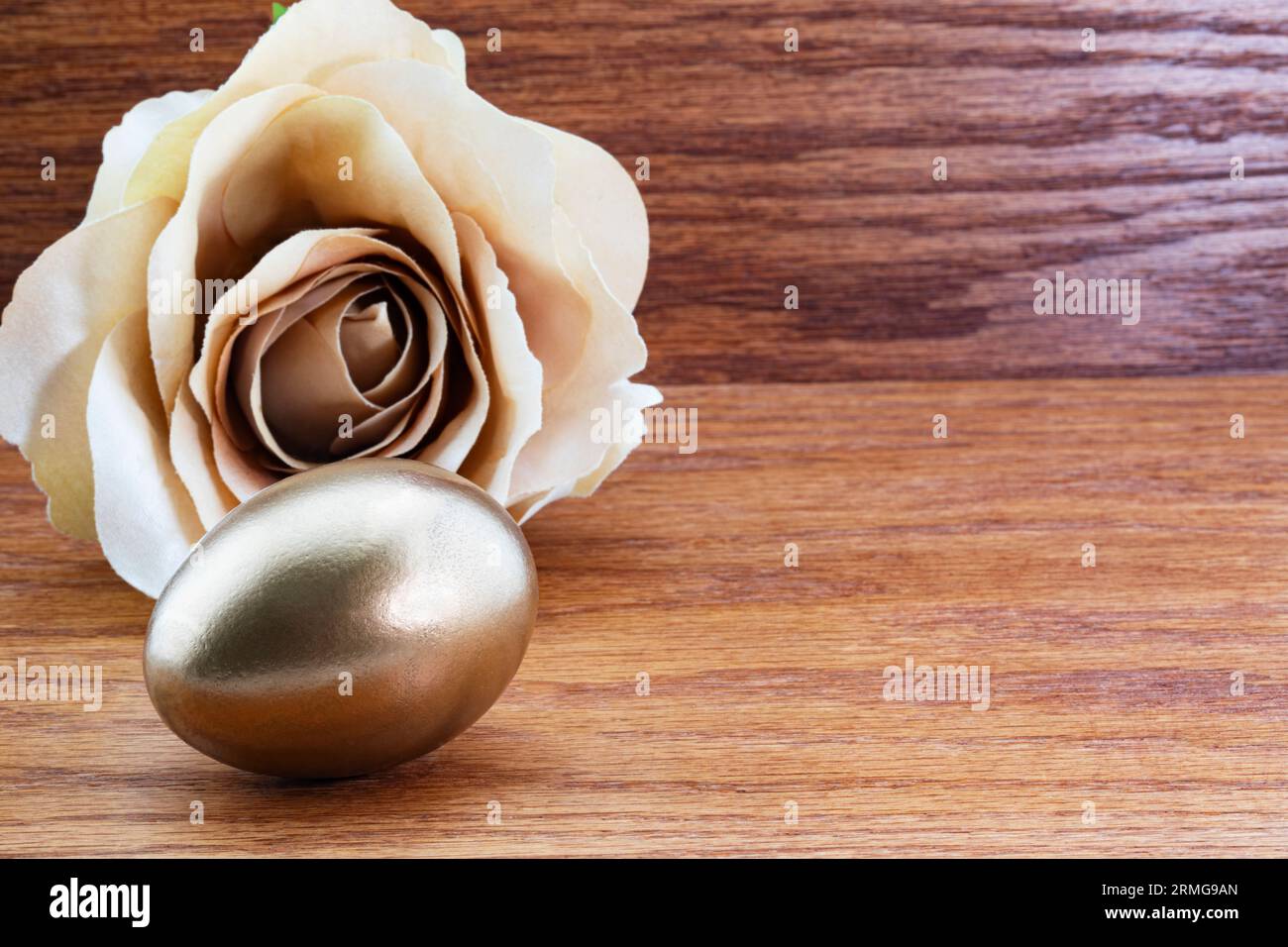 L'œuf de nid d'or avec rose beige sur bois est le reflet élégant du succès commercial gagnant et des investissements financiers intelligents Banque D'Images