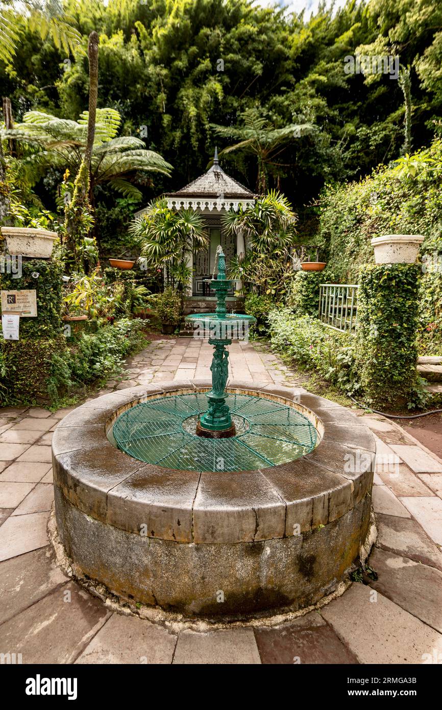 Biodiversité des jardins botaniques de la Réunion Océan Indien Banque D'Images