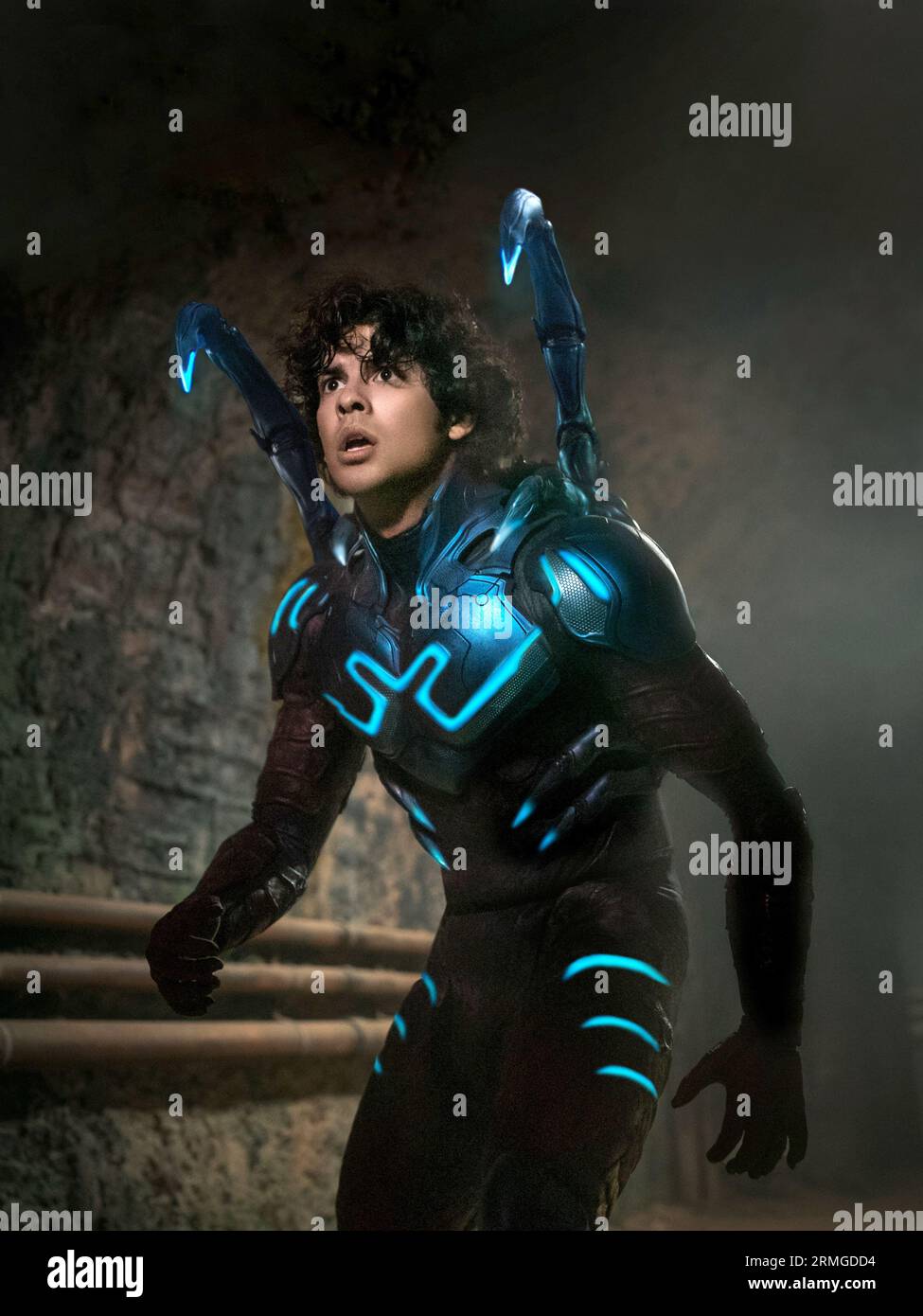 Bleu Beetle Xolo Mariduena Banque D'Images