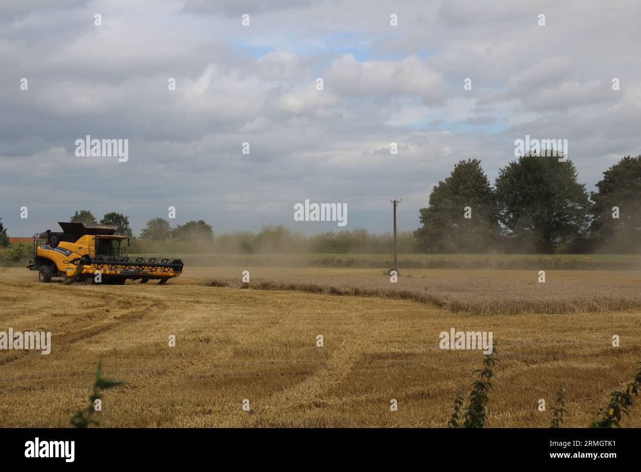 Terres agricoles près d'Airmyn près du pont Boothferry dans l'East Riding of Yorkshire UK.Une moissonneuse-batteuse récoltant une récolte de blé à la fin de l'été Banque D'Images