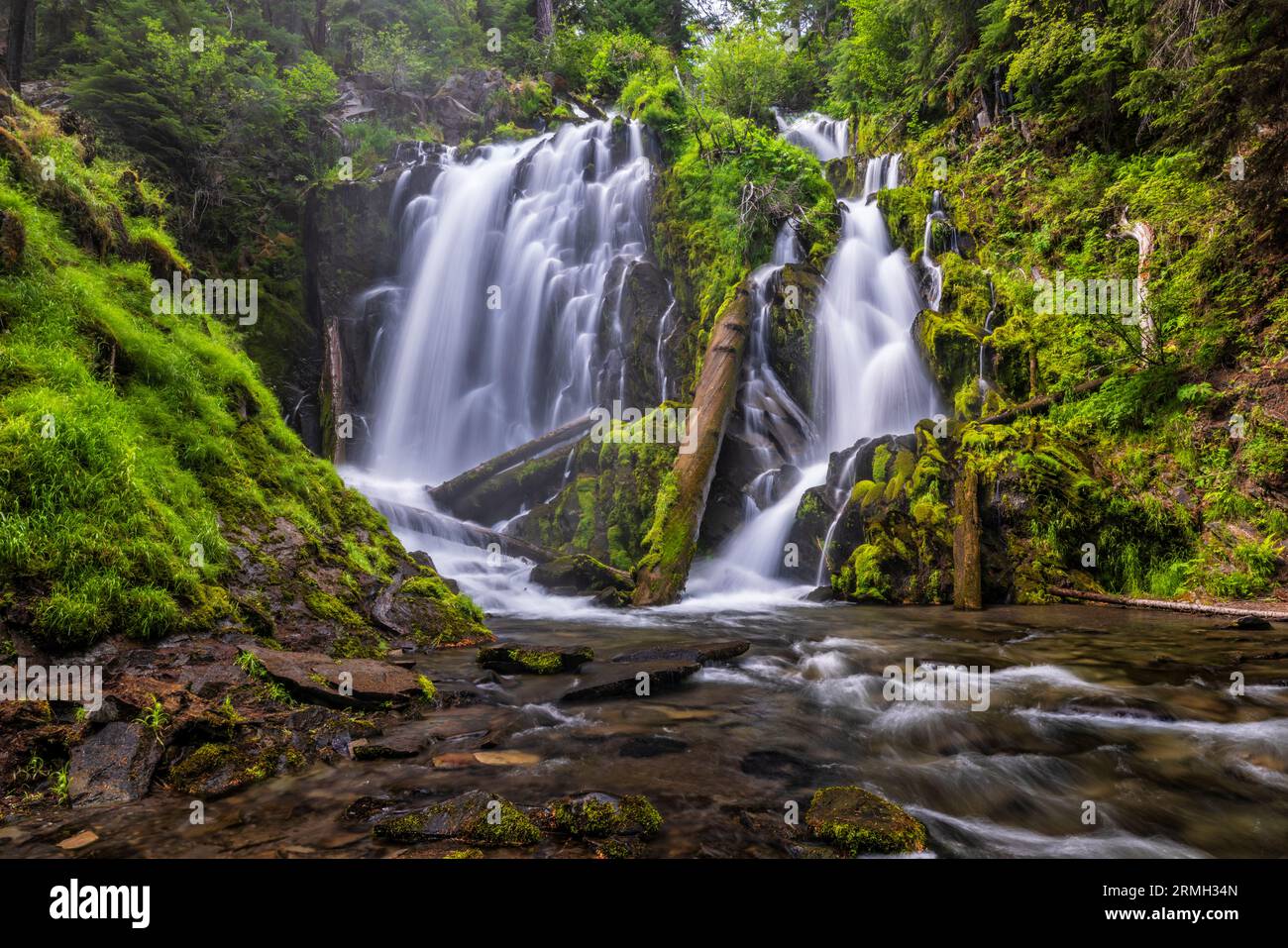 National creek se divise autour d'un affleurement de basalte et se jette dans une grotte à National Creek Falls dans la Rogue River-Siskiyou National Forest Just Wes Banque D'Images