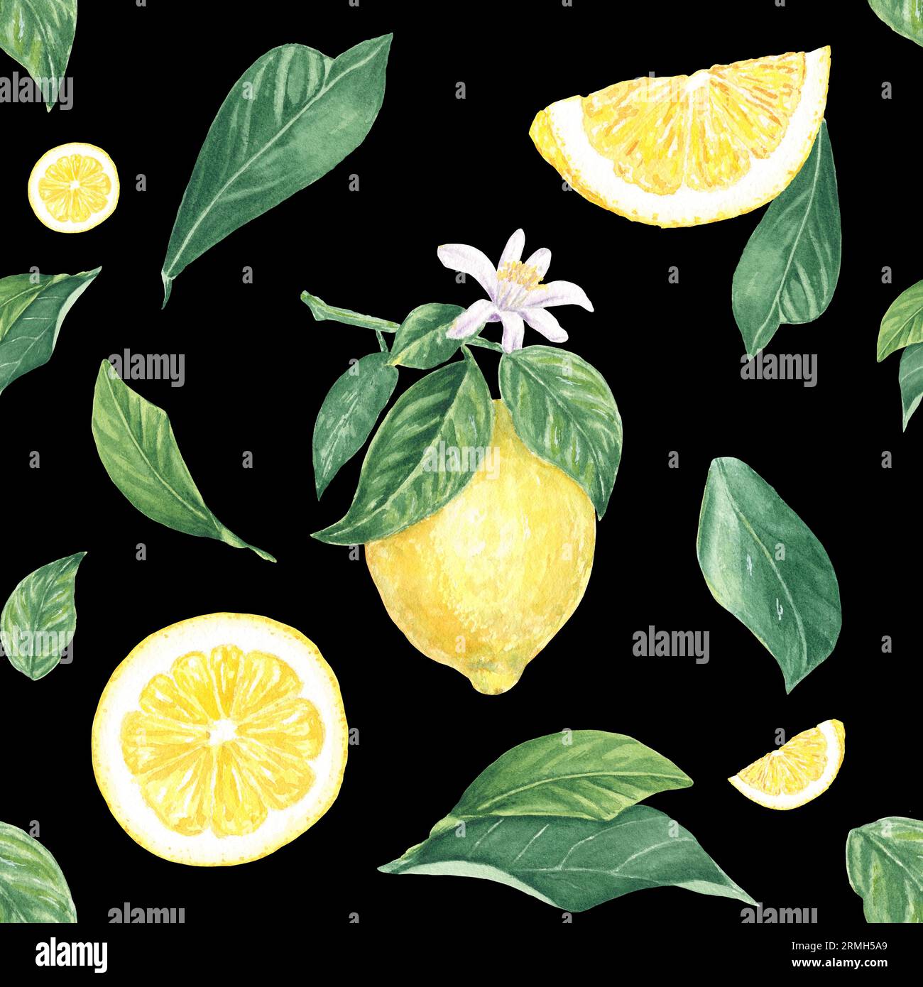 Aquarelle sans couture motif citron, tranches, fleur, feuilles sur fond noir, peint à la main dans le style botanique, pour les vacances, mariage, conception alimentaire Banque D'Images Aquarelle sans couture motif citron, tranches, fleur, feuilles sur fond noir, peint à la main dans le style botanique, pour les vacances, mariage, conception alimentaire Banque D'Images