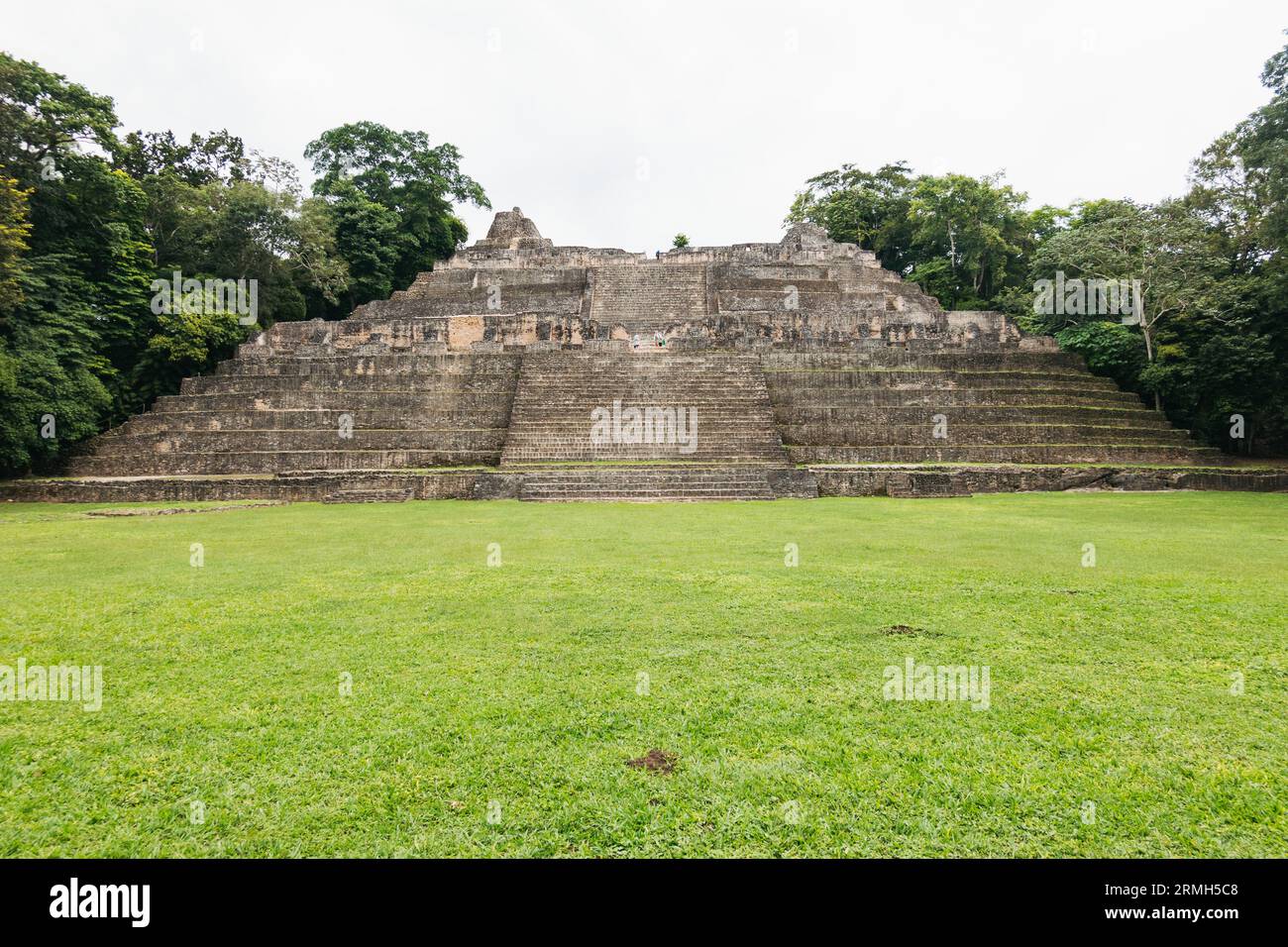 Caana (« Sky place »), le plus grand temple de Caracol, une ville maya datant de 1200 av. J.-C. située dans l'actuel Belize Banque D'Images
