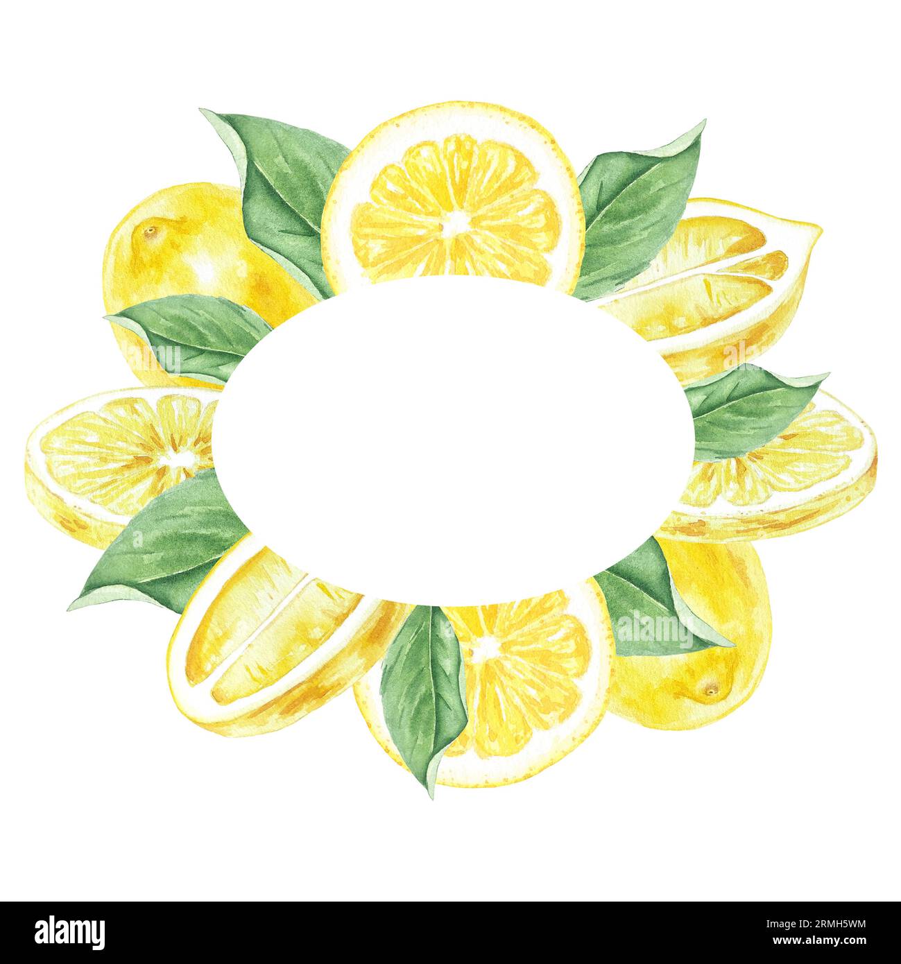 Cadre aquarelle de citrons, fleurs et feuilles peint à la main dans le style botanique, pour les vacances, les mariages et la conception de nourriture. Arrière-plan fruits tropicaux Banque D'Images Cadre aquarelle de citrons, fleurs et feuilles peint à la main dans le style botanique, pour les vacances, les mariages et la conception de nourriture. Arrière-plan fruits tropicaux Banque D'Images