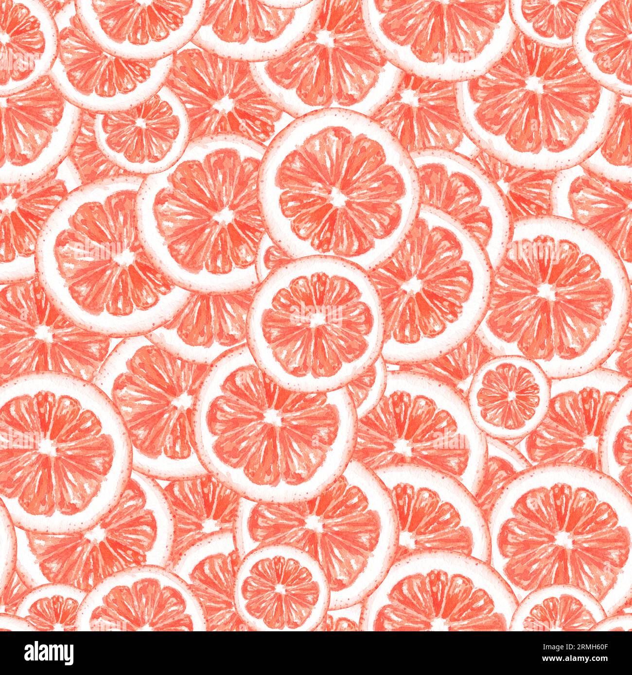 Aquarelle citron, pamplemousse sans couture modèle botanique. Illustration jaune impression de fruits tropicaux pour textile, papier peint, invitation, carte postale Banque D'Images Aquarelle citron, pamplemousse sans couture modèle botanique. Illustration jaune impression de fruits tropicaux pour textile, papier peint, invitation, carte postale Banque D'Images