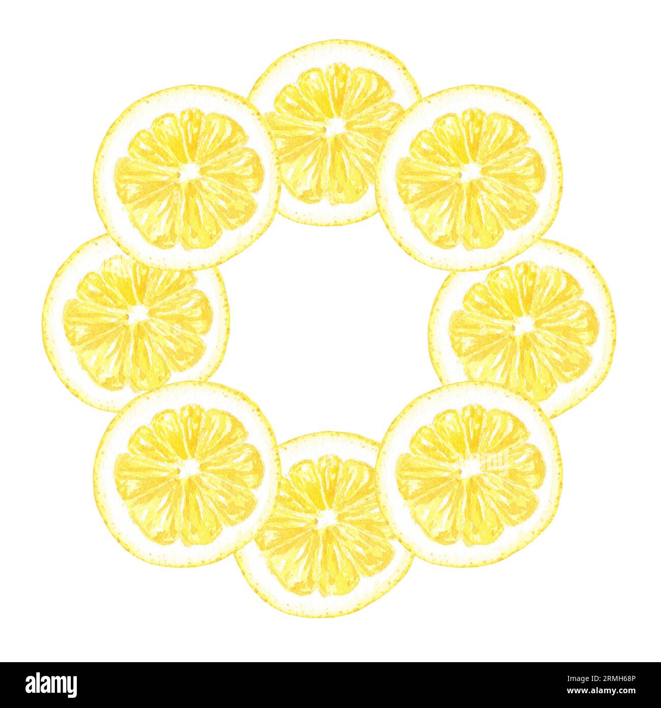 Set aquarelle de citrons, feuilles et fleurs, peint à la main dans le style botanique, pour l'utilisation en vacances, mariage, et la conception de nourriture. Clipart agrumes tropical Banque D'Images Set aquarelle de citrons, feuilles et fleurs, peint à la main dans le style botanique, pour l'utilisation en vacances, mariage, et la conception de nourriture. Clipart agrumes tropical Banque D'Images