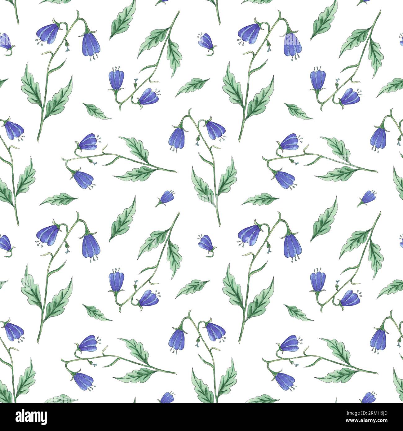 Aquarelle motif sans couture fleurs sauvages bleues sur fond blanc, illustration peinte à la main dans le style botanique, tissu d'impression, papier peint Banque D'Images