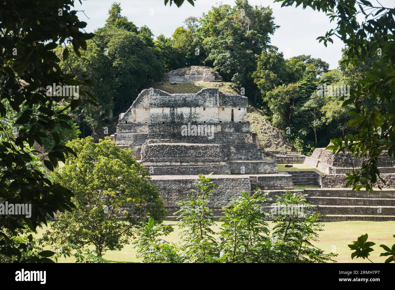 Réserve de monuments naturels de Caracol, Belize, une ville maya datant de 1200 av. J.-C. Banque D'Images