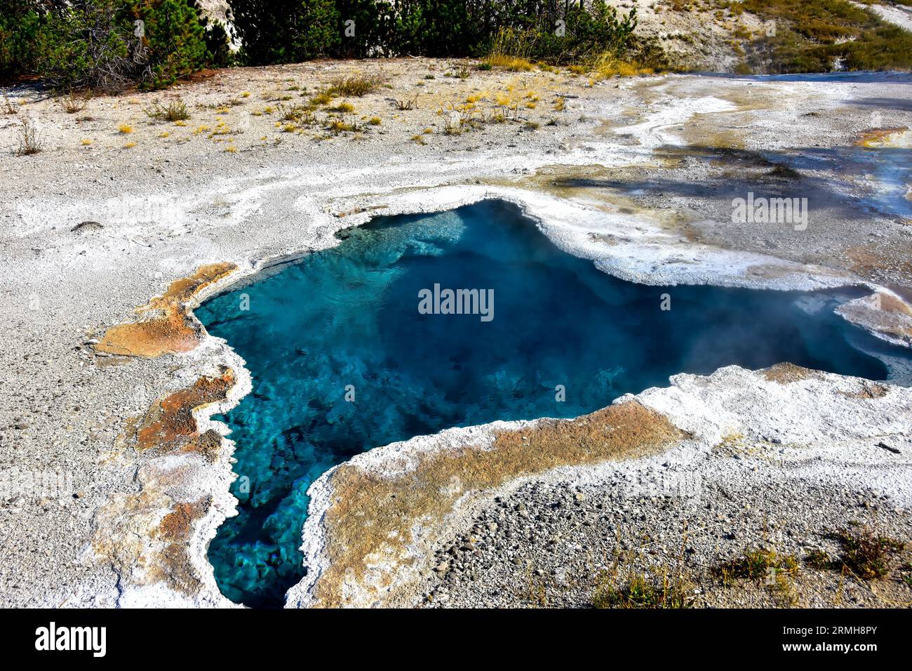 Blue Star Spring, Geyser Hill, parc national de Yellowstone. Banque D'Images
