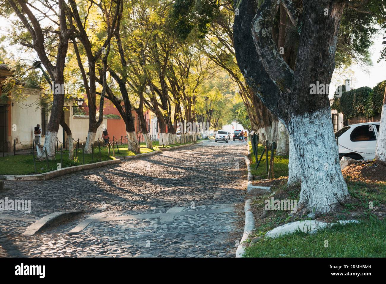 Une rue pavée bordée d'arbres par un après-midi ensoleillé dans la ville historique d'Antigua Guatemala Banque D'Images
