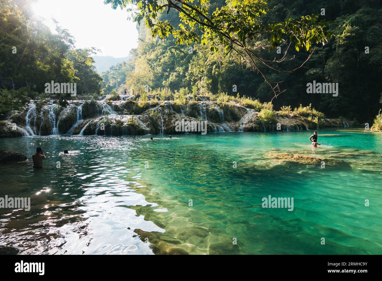 La rivière Cahabón tombe dans des niveaux de piscines sur le monument naturel de Semuc Champey, Guatemala. Les nageurs en tirent le meilleur parti par un après-midi ensoleillé Banque D'Images
