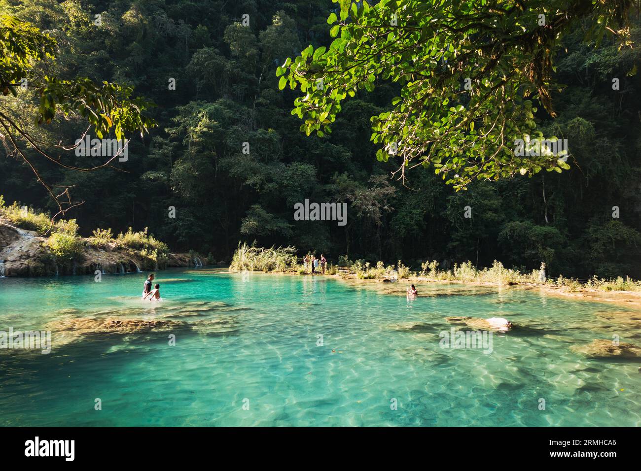 La rivière Cahabón tombe dans des niveaux de piscines sur le monument naturel de Semuc Champey, Guatemala. Les nageurs en tirent le meilleur parti par un après-midi ensoleillé Banque D'Images