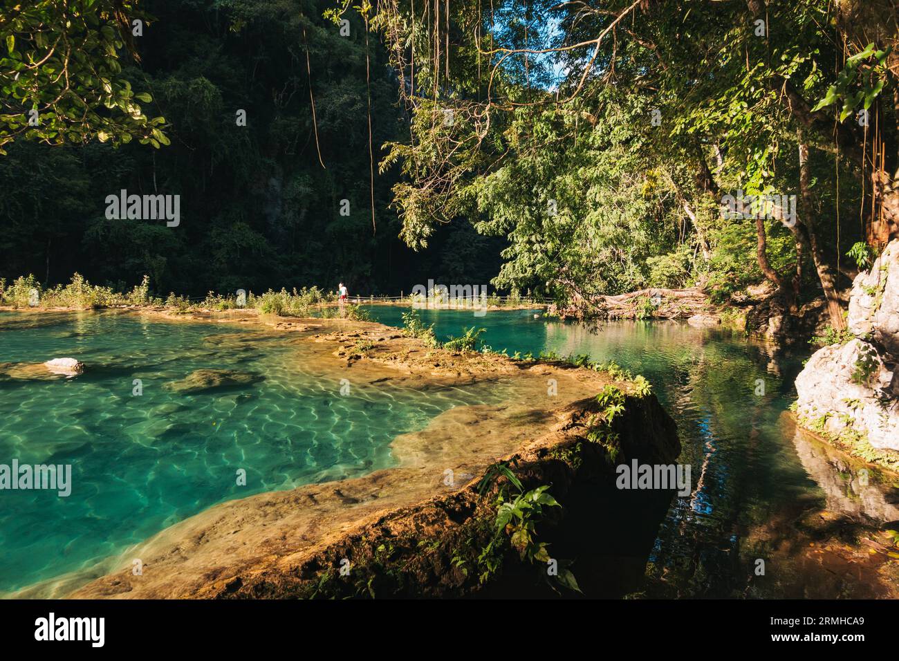 La rivière Cahabón tombe dans des niveaux de piscines sur le monument naturel de Semuc Champey, Guatemala. Les nageurs en tirent le meilleur parti par un après-midi ensoleillé Banque D'Images