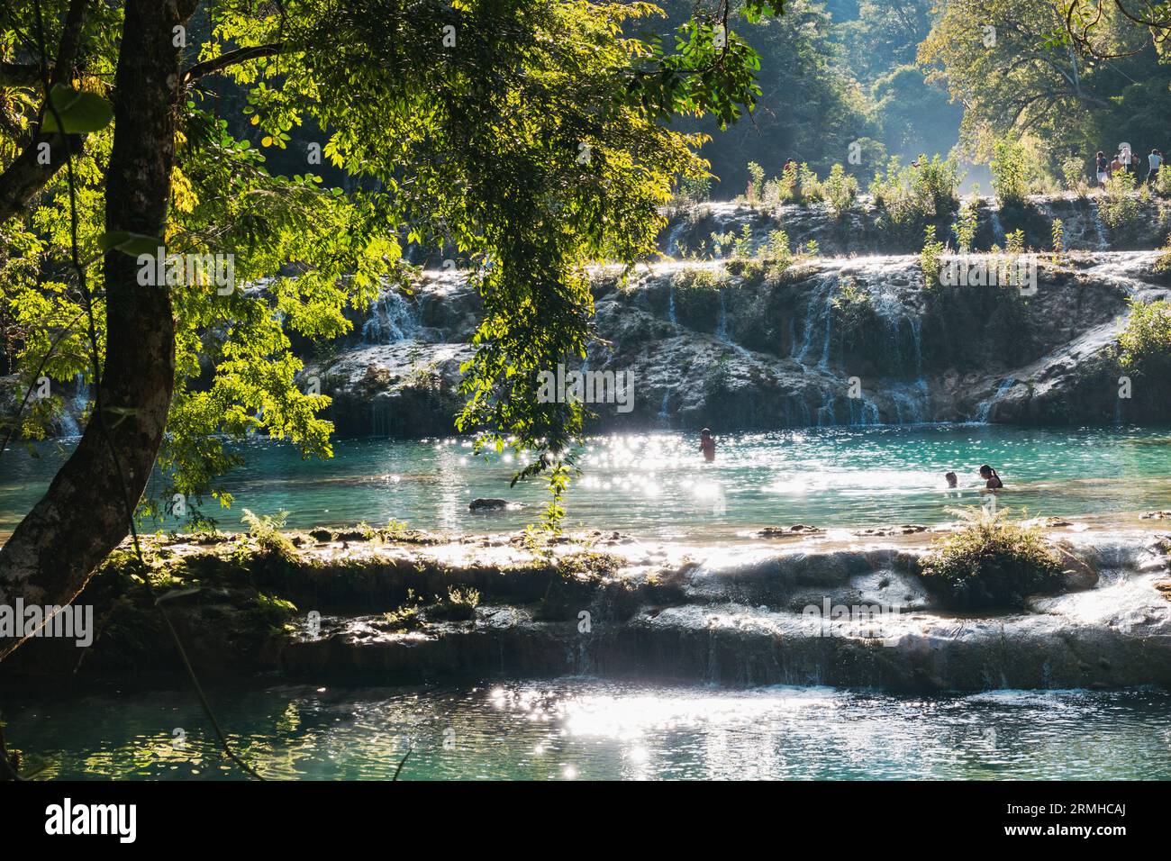 La rivière Cahabón tombe dans des niveaux de piscines sur le monument naturel de Semuc Champey, Guatemala. Les nageurs en tirent le meilleur parti par un après-midi ensoleillé Banque D'Images