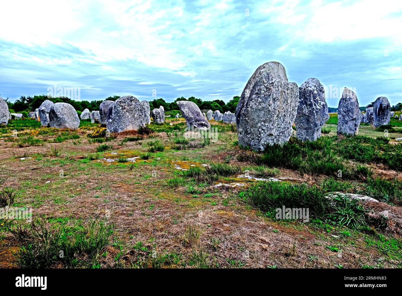 Alignements de pierres mégalithiques à Carnac Bretagne France Banque D'Images