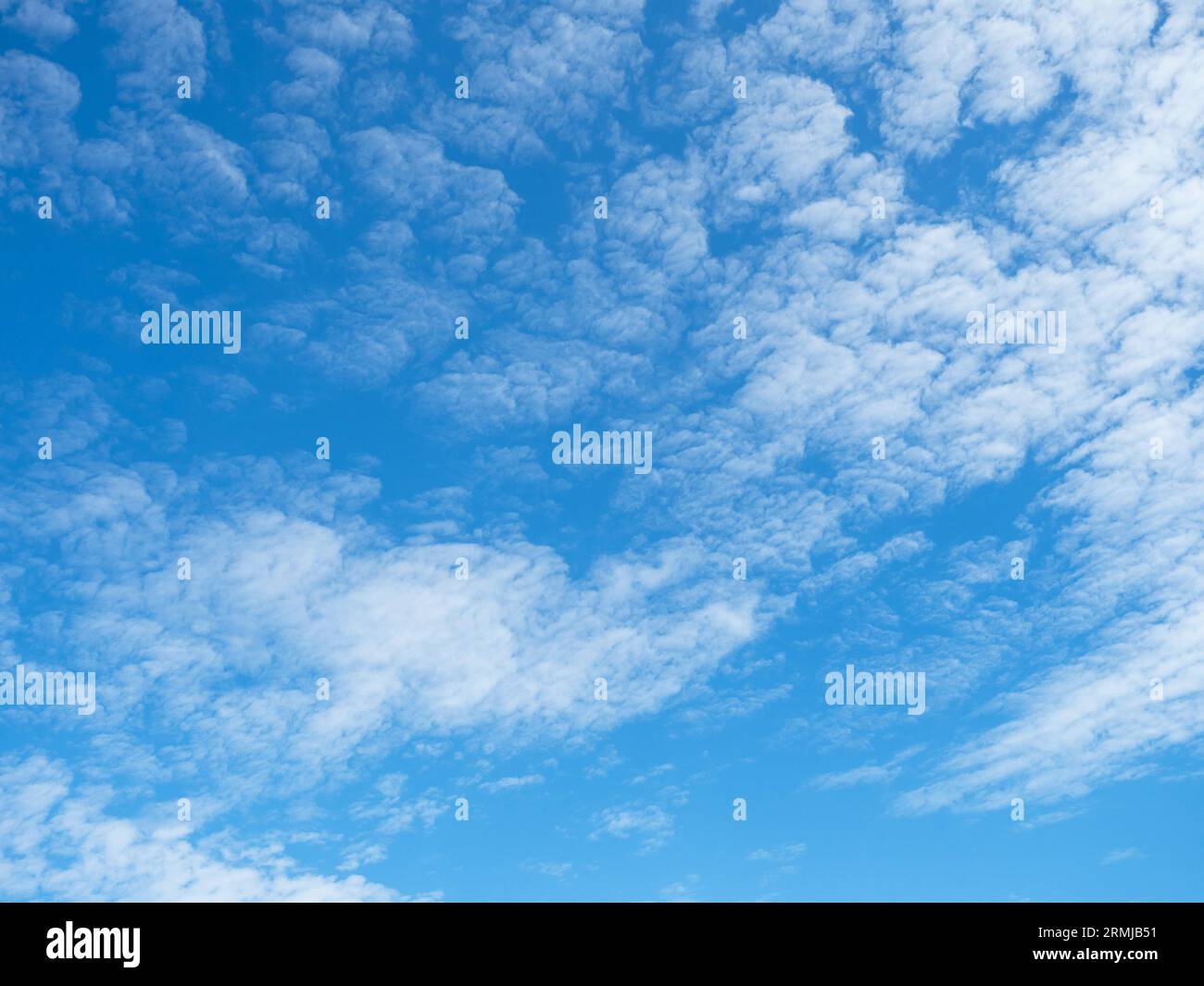 Une image de remplacement du ciel avec des nuages plumeux sur un ciel bleu vif. Banque D'Images