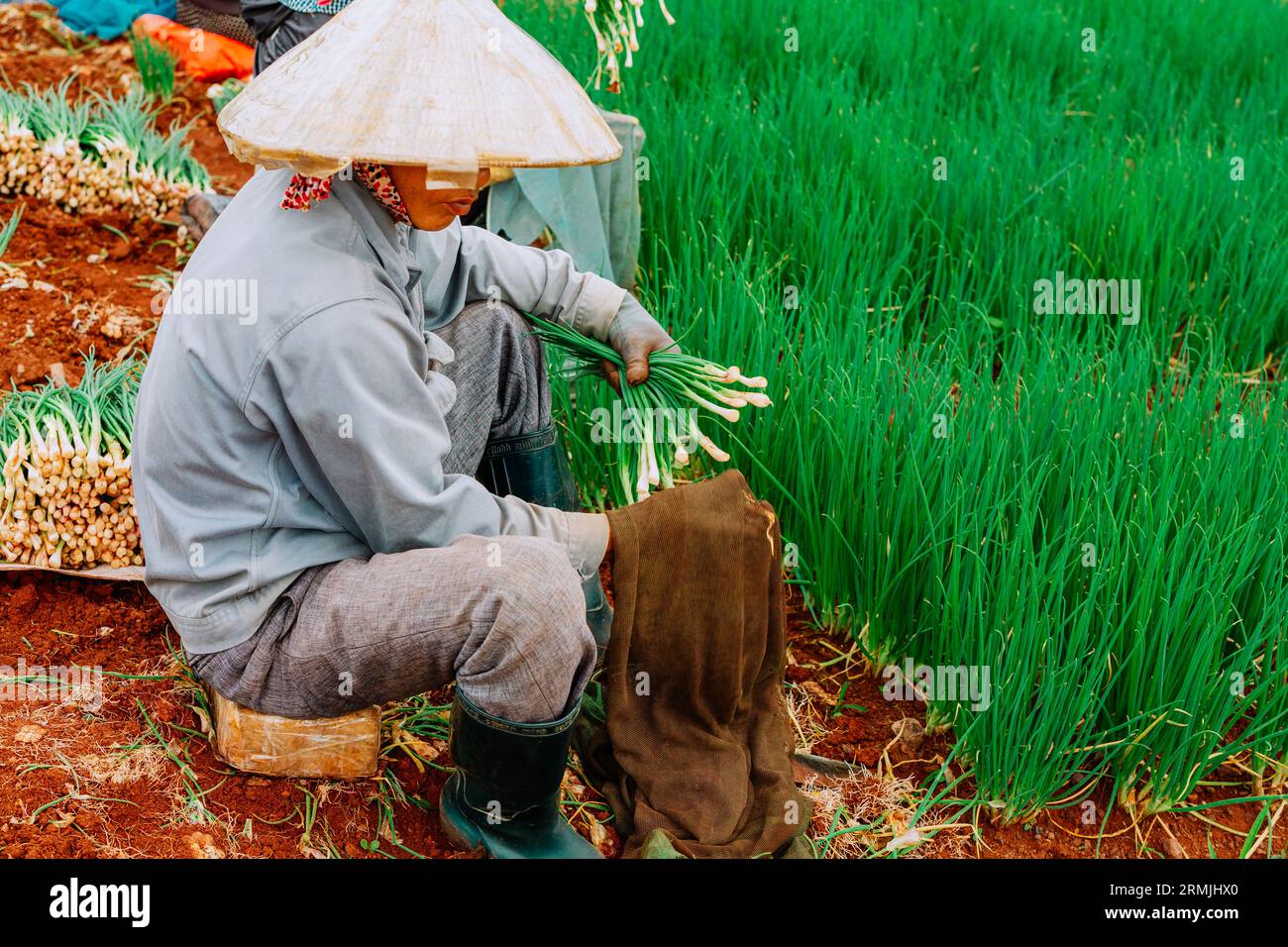 Quelques images de paysage des activités agricoles à Lam Dong Lam Dong paysage Ha Tinh Vietnam temples antiques au Vietnam Banque D'Images