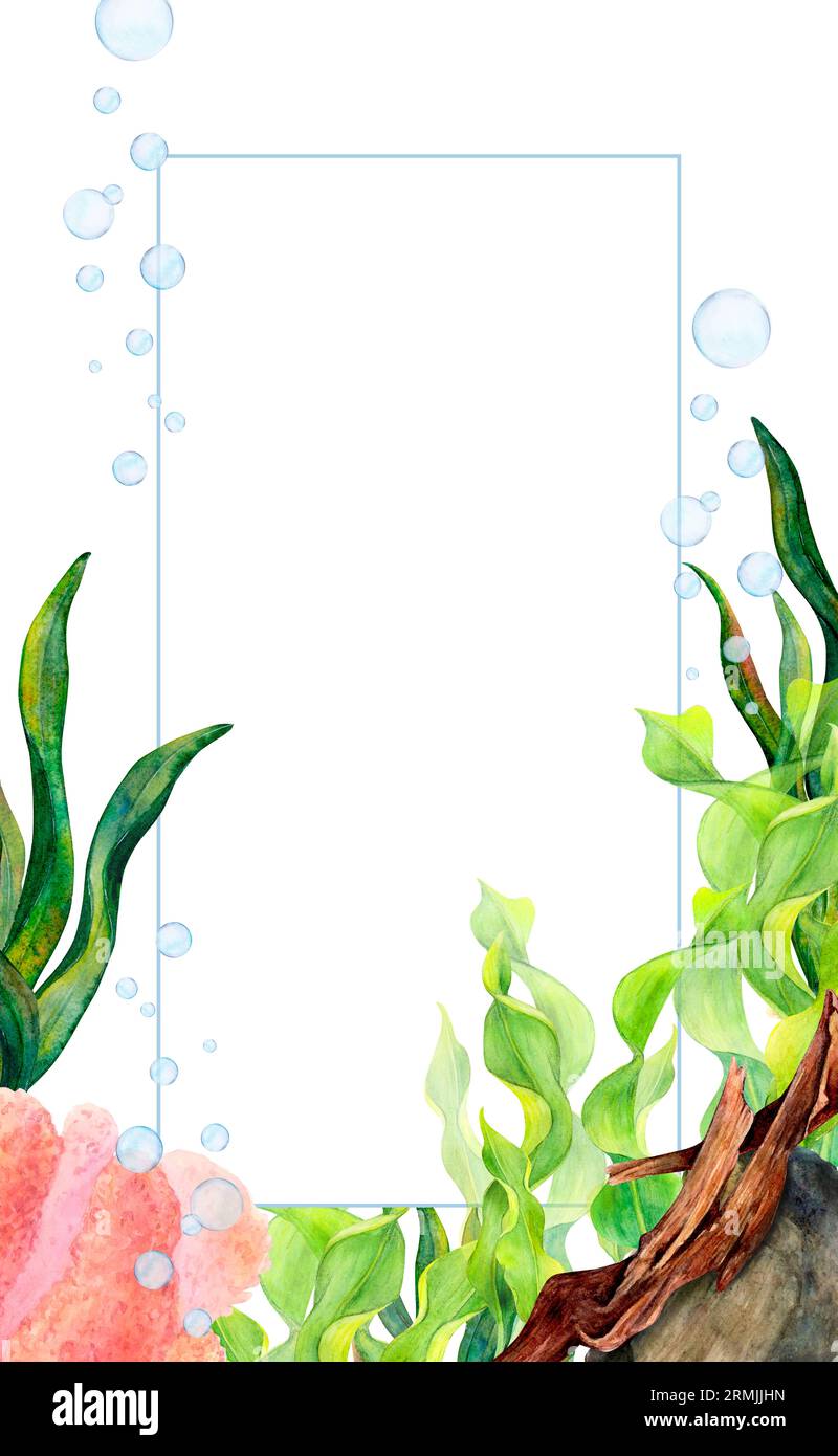 Cadre de dessin aquarelle à partir d'algues de ruban, corail, bulles d'air, pierres, algues sur fond blanc. Illustration Scillfull pour photo, carte postale Banque D'Images