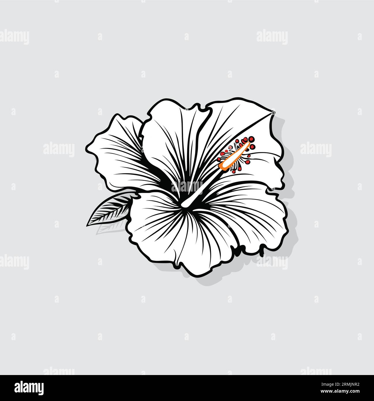 Contour vectoriel de fleur tropicale sur un fond blanc Illustration de Vecteur