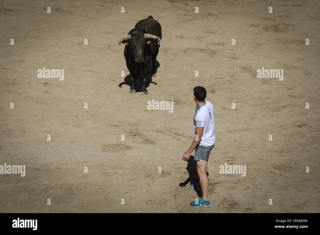 Madrid, Espagne. 28 août 2023. Un trimmer attend un taureau dans l'arène de l'arène de San Sebastian de los Reyes lors d'une capea tenue après la première corrida des festivités populaires dans la ville madrilène de San Sebastian de los Reyes. Crédit : SOPA Images Limited/Alamy Live News Banque D'Images