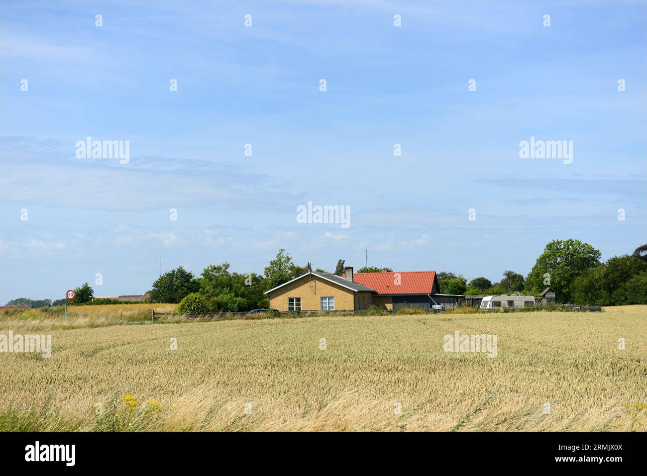 Culture de céréales dans une ferme de la région de Korsør, dans l'ouest de la Zélande, Danemark. Banque D'Images