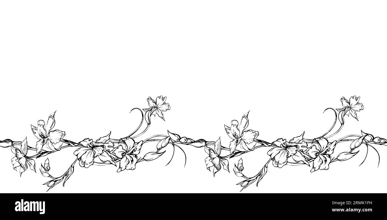 Fleurs et branches d'orchidées à encre vectorielle dessinées à la main, monochrome, contour détaillé. Bannière horizontale sans couture. Isolé sur fond blanc. Conception pour Illustration de Vecteur