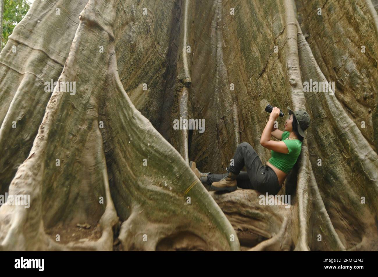 Jolie femme asiatique regardant à travers des jumelles à d'énormes racines d'arbre. Banque D'Images