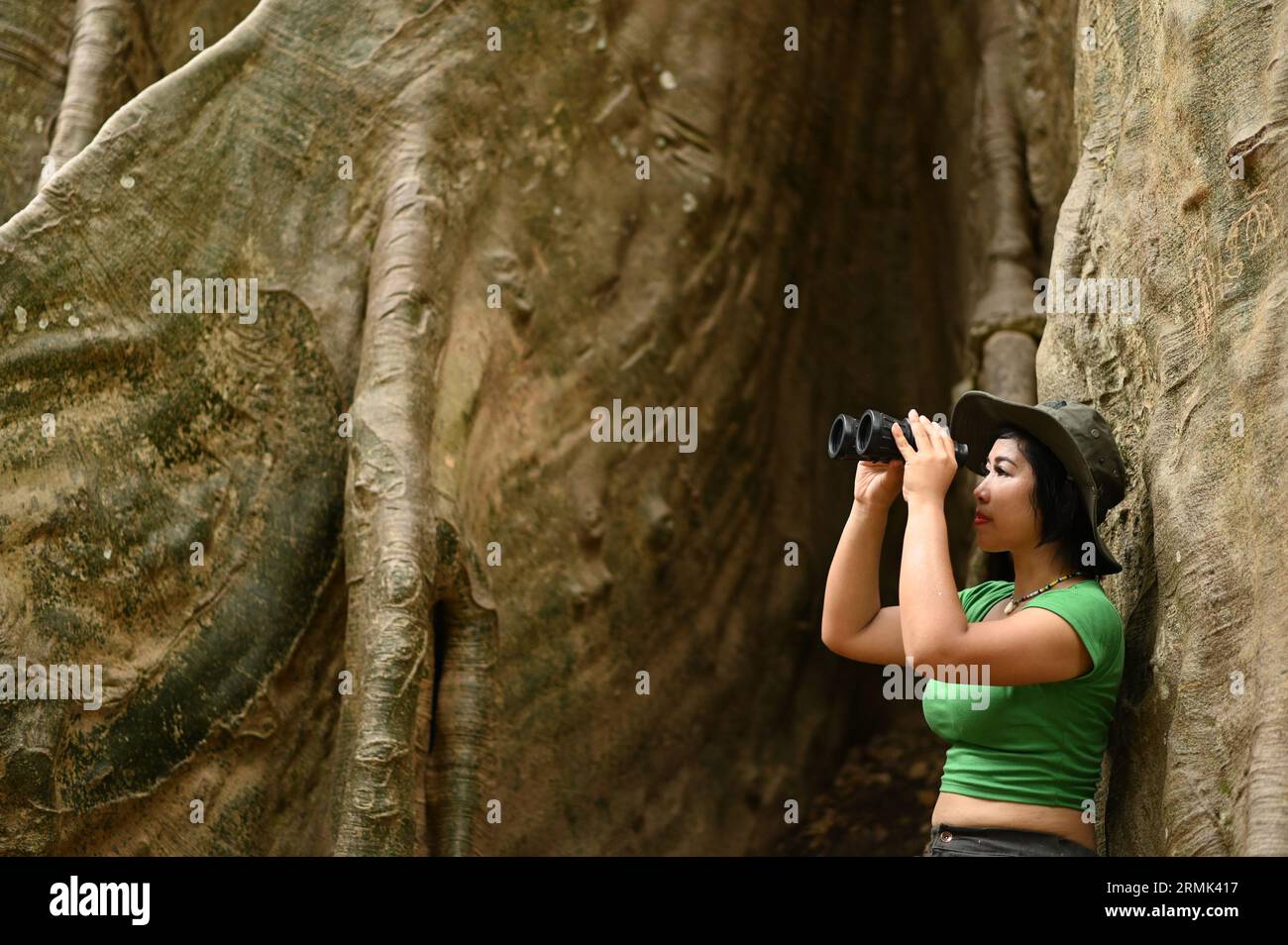 Jolie femme asiatique regardant à travers des jumelles à d'énormes racines d'arbre. Banque D'Images