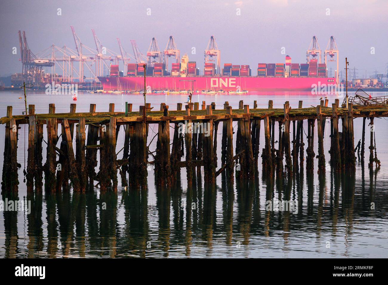 Le navire porte-conteneurs One Triumph à côté du DP World docks au port de Southampton. Banque D'Images