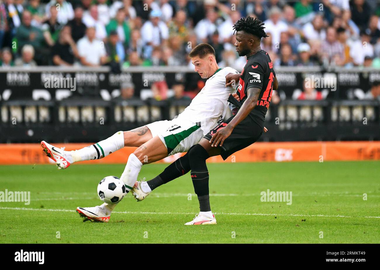 Bundesliga, Borussia Park Mönchengladbach : Borussia Mönchengladbach vs Bayer Leverkusen ; Edmond Tapsoba (LEV), Tomas Cvancara (BMG) Banque D'Images