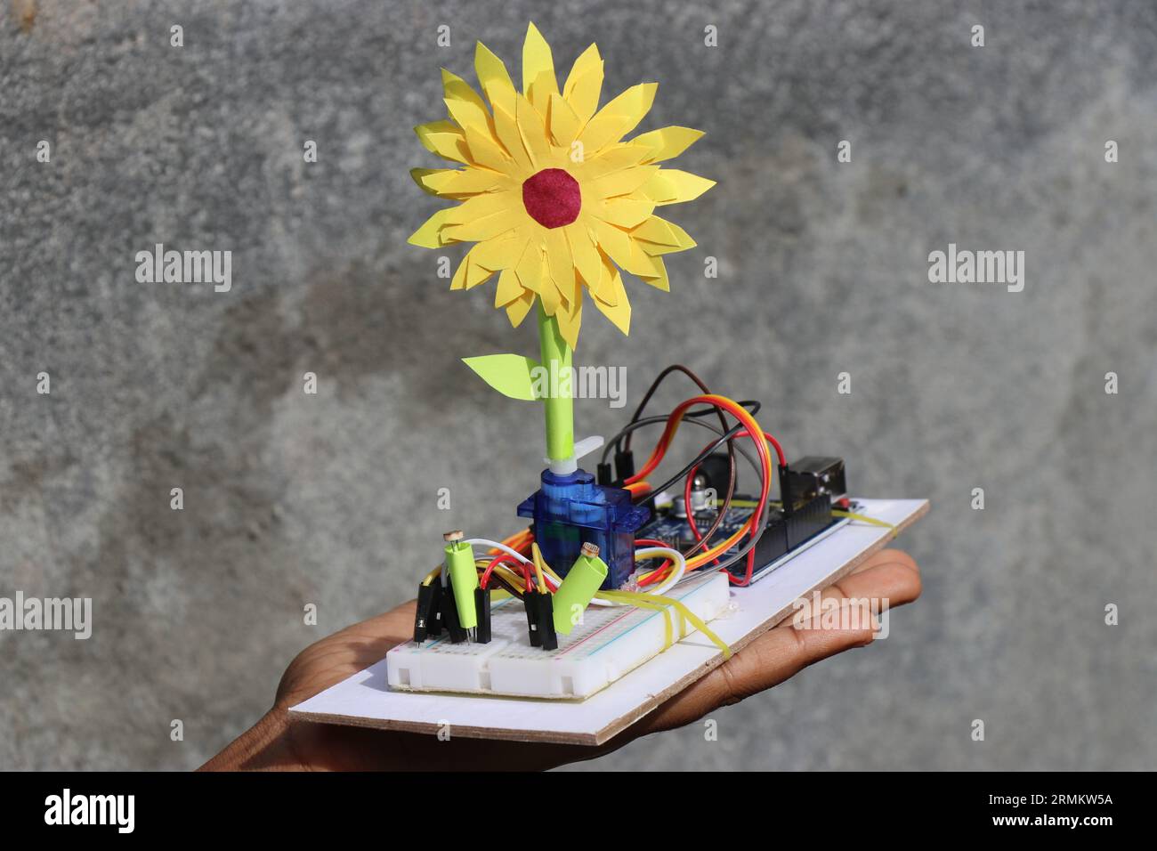 Projet de tournesol électronique réalisé à l'aide d'un capteur LDR et d'un servo tenu dans la main. Projets de carte d'expérimentation de micro-contrôleur programmable Banque D'Images