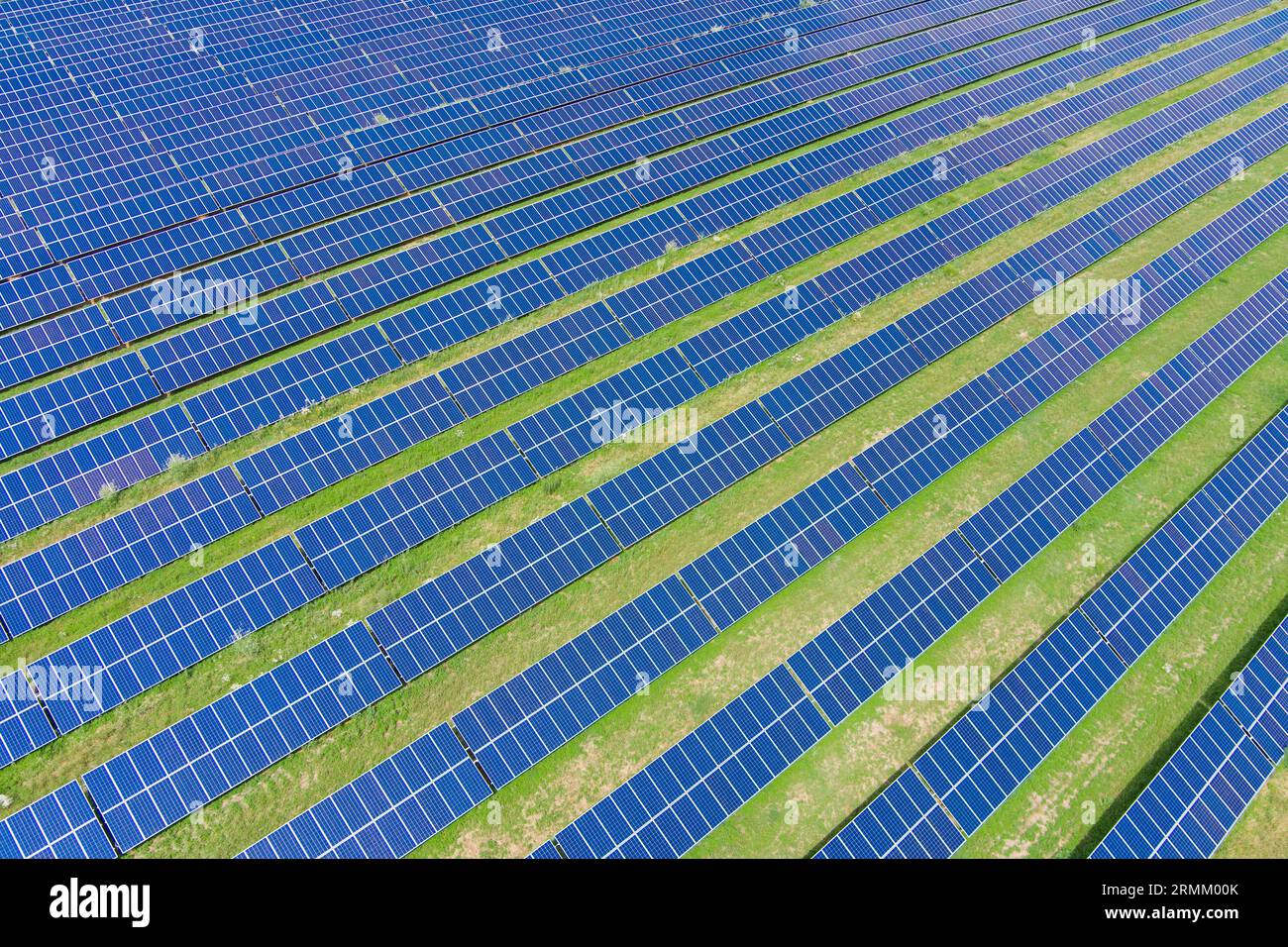 Vue de dessus de la centrale solaire (gros plan). Écologie. Énergie verte alternative. Zéro émission. Drone. Vue aérienne Banque D'Images