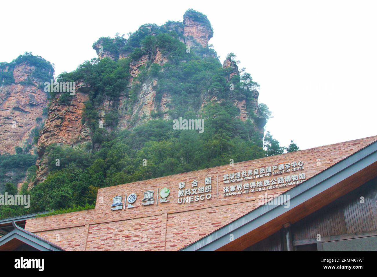 ) : Voyage à travers les vues impressionnantes de majestueuses montagnes de Chine, comme Avatar, où la réalité rencontre l'émerveillement cinématographique Banque D'Images