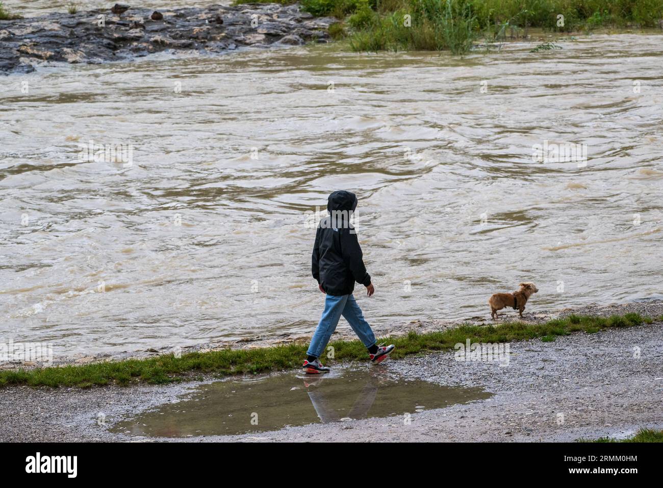 Munich, Allemagne. 29 août 2023. Un promeneur avec un chien se promène le long des rives de la rivière Isar inondée, qui traverse la capitale bavaroise. Crédit : Peter Kneffel/dpa/Alamy Live News Banque D'Images