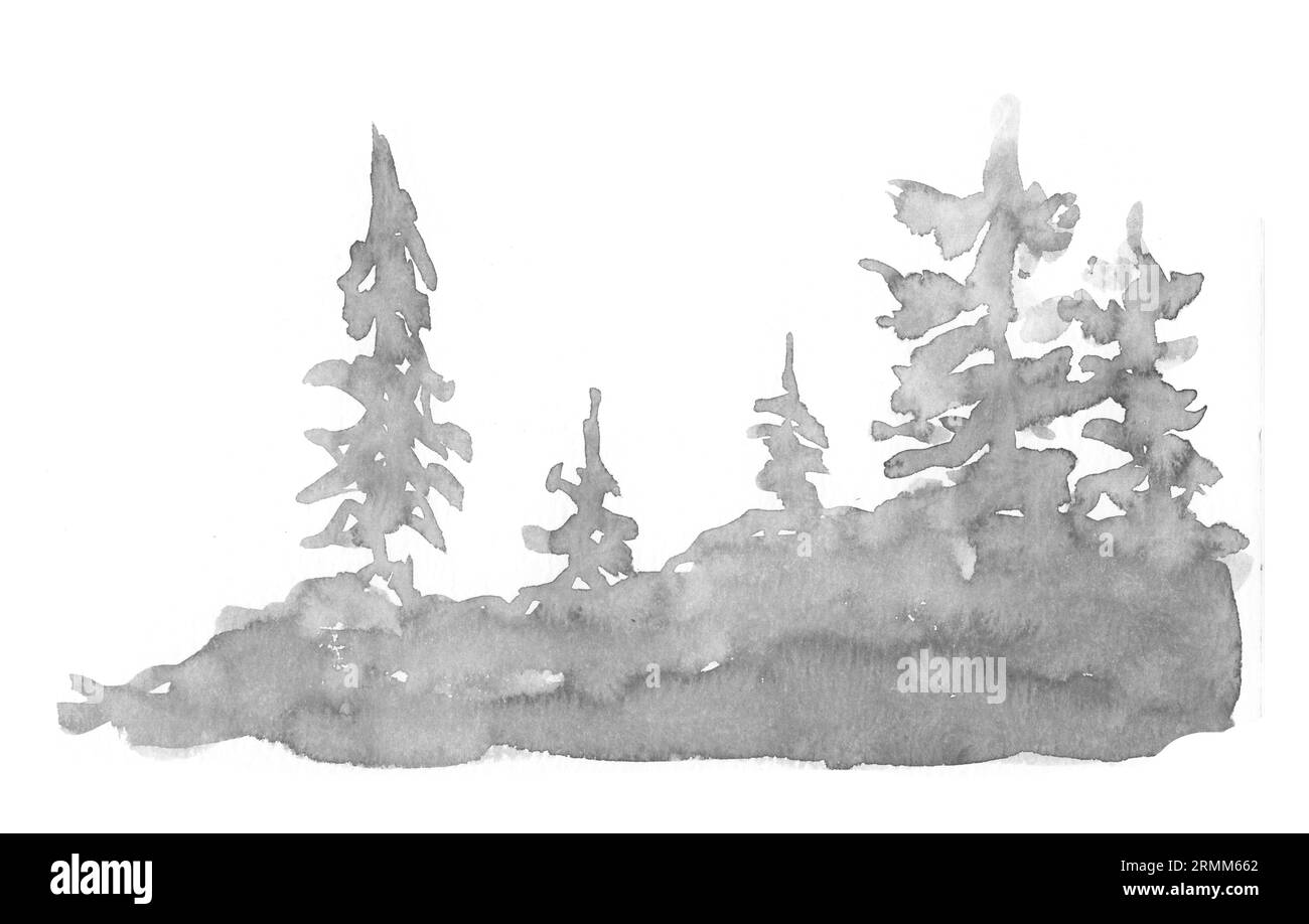 Arbre de pin aquarelle isolé sur blanc. Illustration peinte à la main Banque D'Images