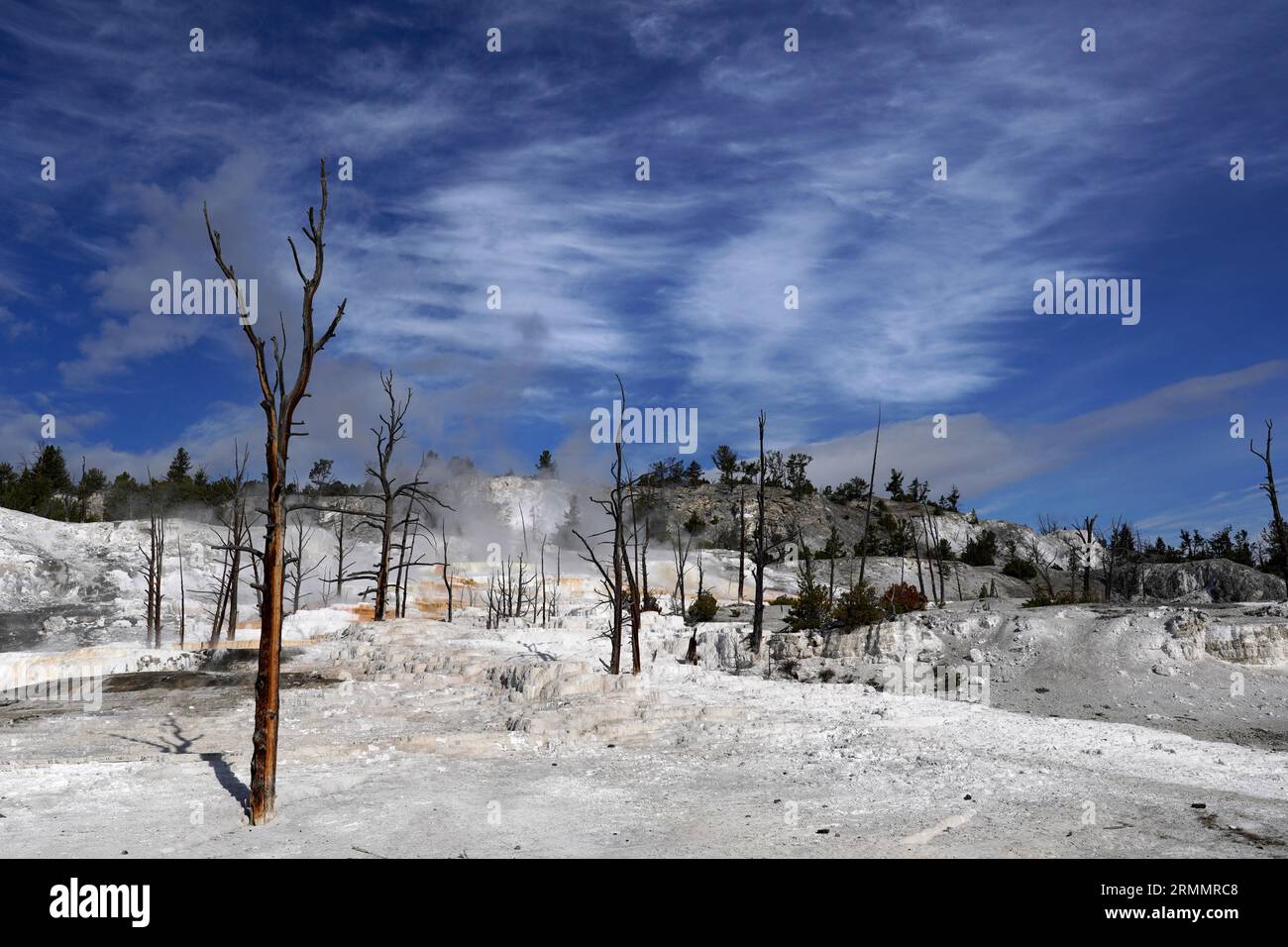 Angel Terrace à Mammoth Hot Springs dans le parc national de Yellowstone dans le Wyoming Banque D'Images