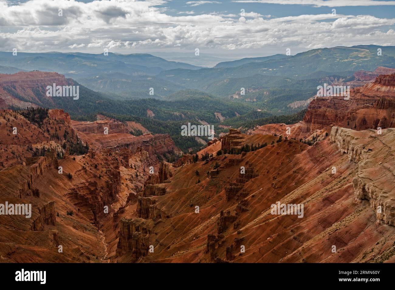 Les belles falaises et les couleurs de Cedar Breaks National Monument.in Cedar City, Utah. ÉTATS-UNIS. Les formations remontent à 60 millions d'années. Banque D'Images