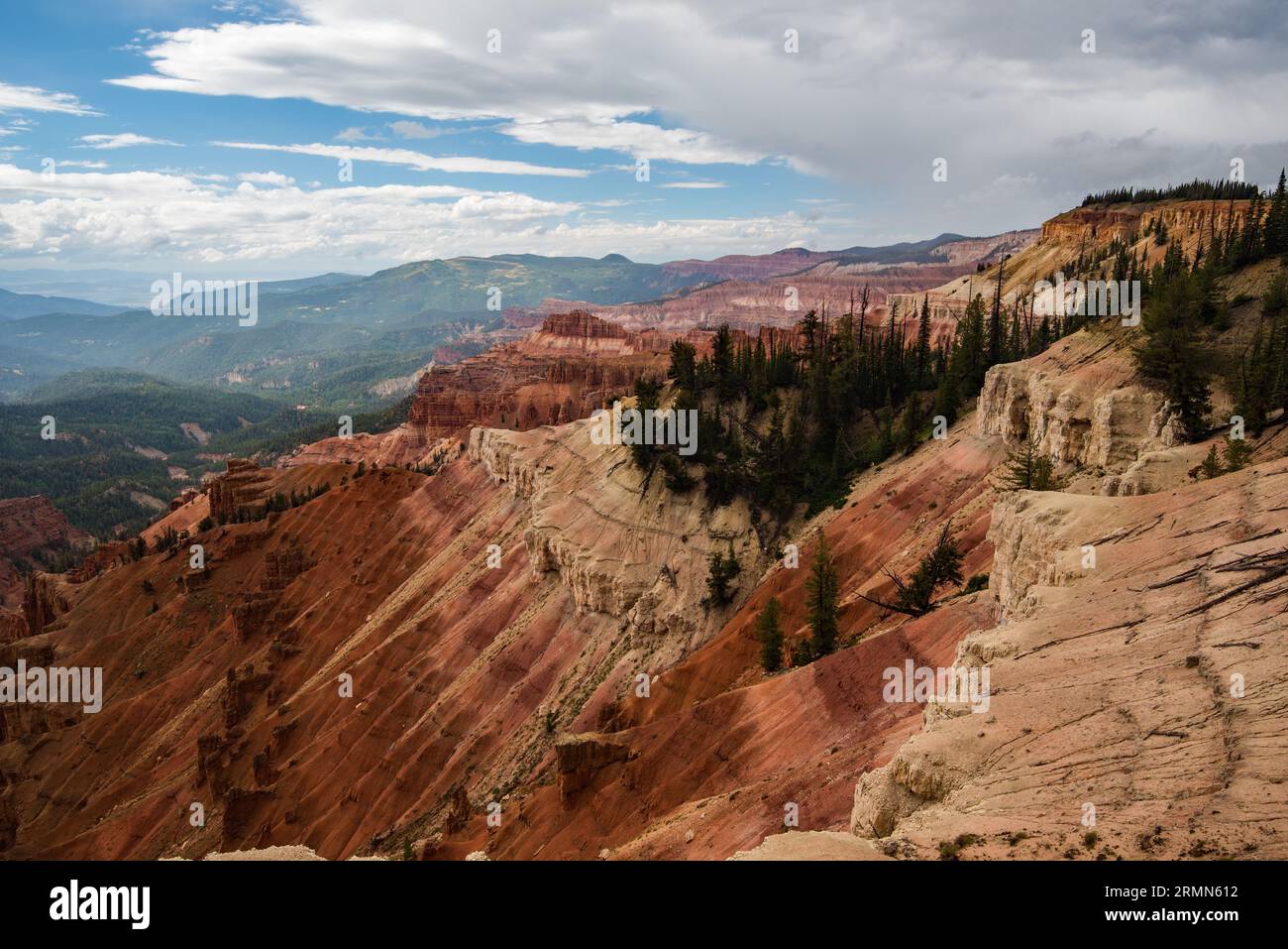 Les belles falaises et les couleurs de Cedar Breaks National Monument.in Cedar City, Utah. ÉTATS-UNIS. Les formations remontent à 60 millions d'années. Banque D'Images
